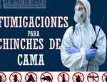 Fumigaciones para chibches de cama