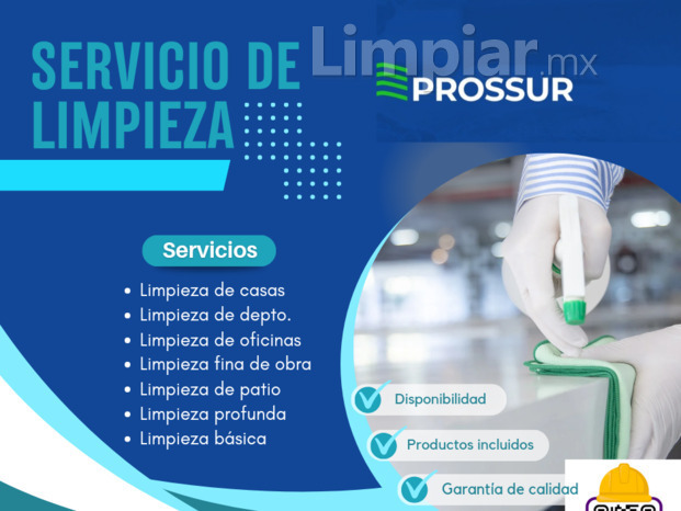 Servicio de limpieza profesional 