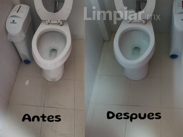 Limpieza de Sanitarios